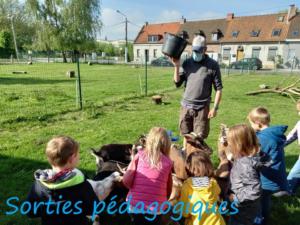 21-Sorties-pedagogiques-1