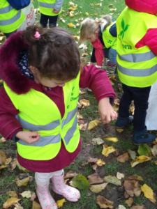 Estaimbourg maternelle (33)