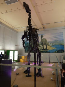 Iguanodon Nora (103)