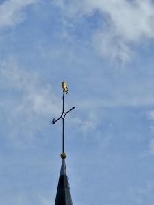 Les-rapaces-3P-2
