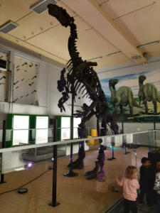 Iguanodon Nora (106)