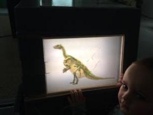 Iguanodon Nora (27)